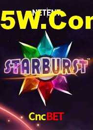Premium Interface Cncbet